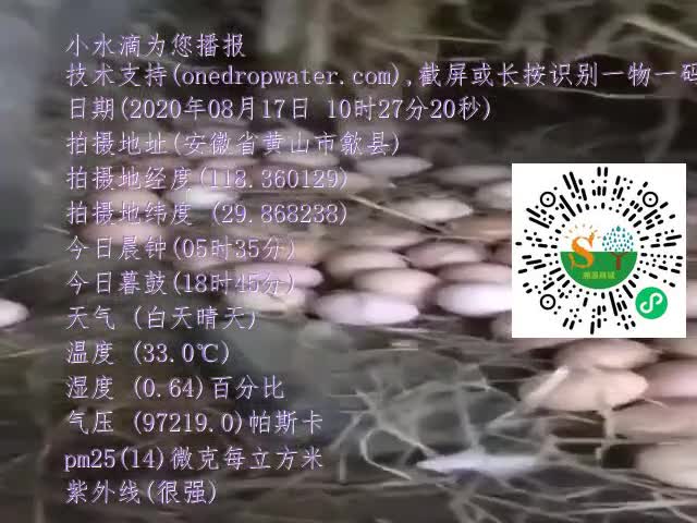 tmp_d007eb4b843cbe061ea740e101a0a820a0dabbf107f5cd47.mp4