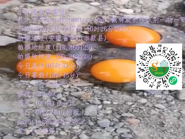 tmp_c34260bda5ade029aca27d5eed3b00f2f8d8e114fc69f174.mp4