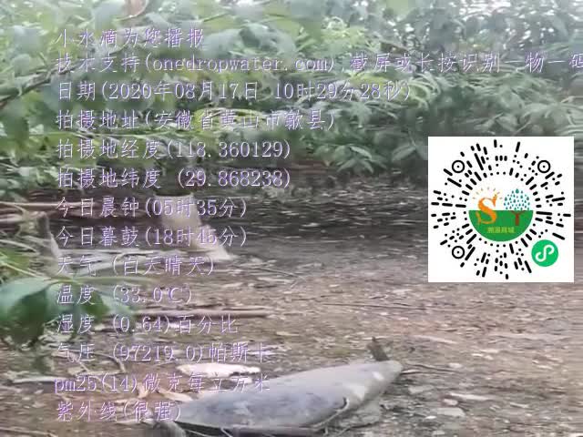 tmp_2ce8735712612213cc760ca344e19c48679751e3bef69903.mp4