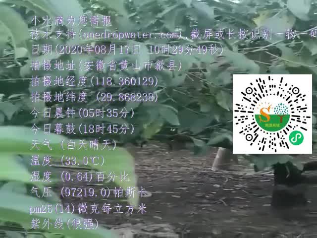 tmp_08ec409d9f8e8eac9ab827bc88d70c0889119d20a6dd89ff.mp4