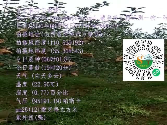 tmp_891bbc4c2c40dd9a37c636654b4925928242384bcd1feb47.mp4
