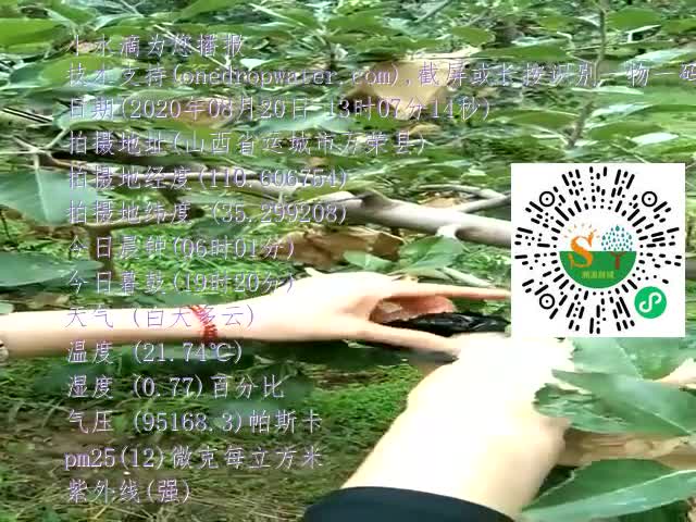 tmp_48e6d11e4096af30a777eaadb2bede8b8bc855e6f48b38ed.mp4