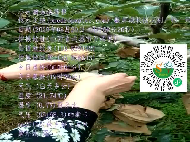 tmp_bad1437d6937954024d7f5aed4e79ef89bcbf9c26008633f.mp4