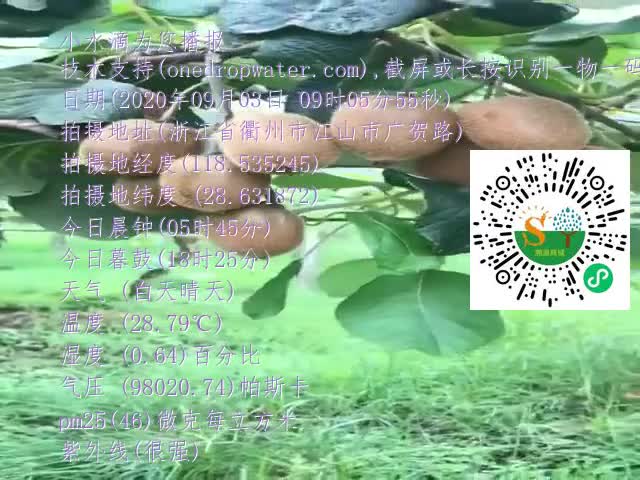 tmp_c5629053d7b740d22b25439756ab7b439fd45f66f465c90d.mp4