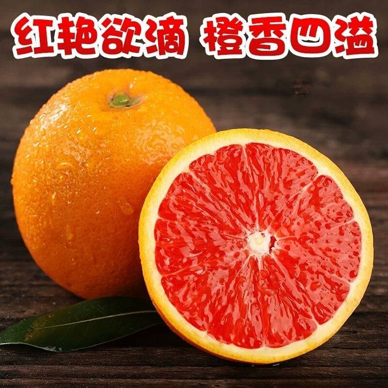 出租-中华红-1