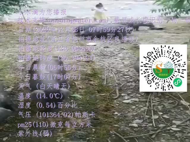 tmp_9cf8dea0902994c9912e7db339d9b1c4.mp4