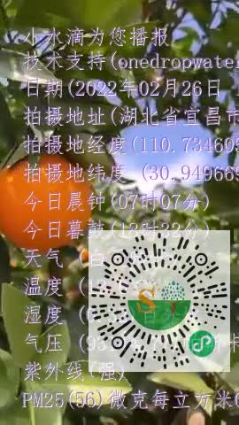 Fp30JSpbhLr1rmabMhZvP1mY6OvZmp4