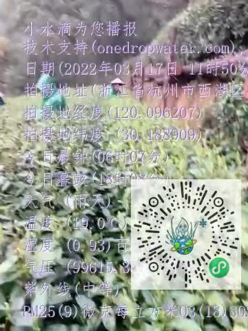 Fhi6loygyt1WAHZ2VGEscIff9lpQmp4