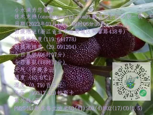 899648b17d27f0bf8a1d058acdc2cbf3.mp4