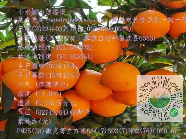 03266e80825dec241819f765aa078752.mp4