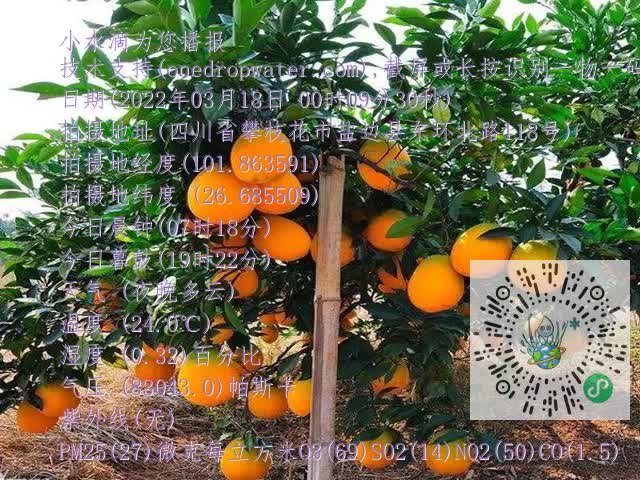 798093ca6c0a8be1c5d9a1179385bf1d.mp4