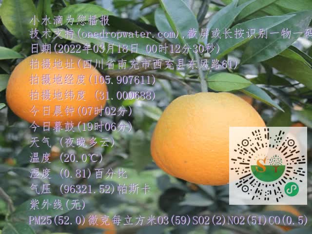 549f521e5c04fd184cea909616b9b61f.mp4