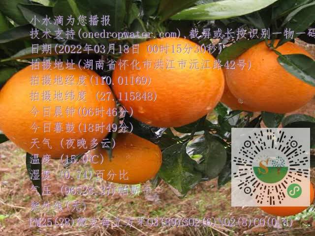 b3513e339bba9c001e0b49f97f9511cd.mp4