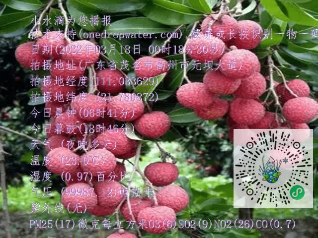 fa89a57207479821c701b64d8ff32aa6.mp4