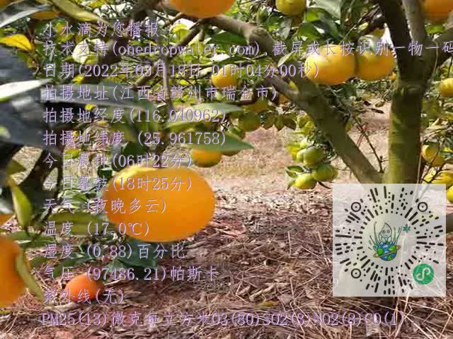b9799b70a0fb44602c39408f71633394.mp4
