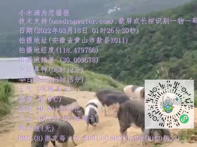 7756d8ddc8a2b12d0eee5752912e28e7.mp4