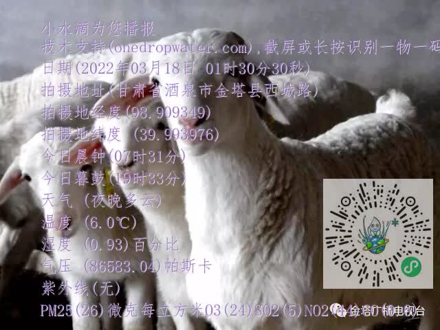 0.mp4