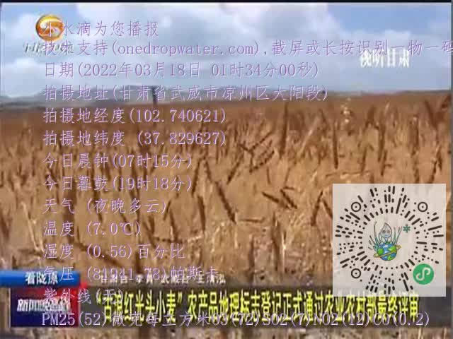 0.mp4