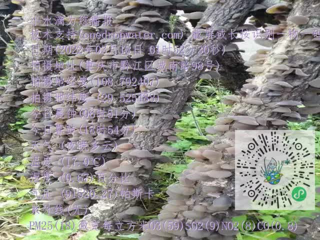 0.mp4