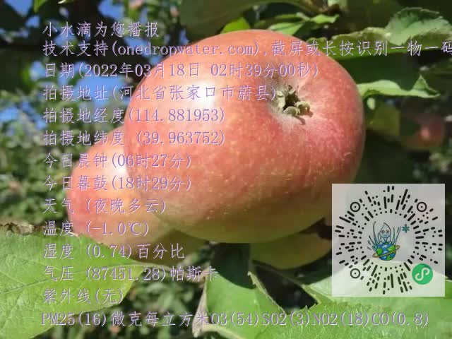 0.mp4