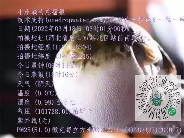 0.mp4