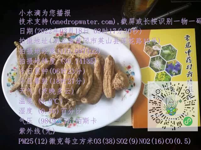 0.mp4
