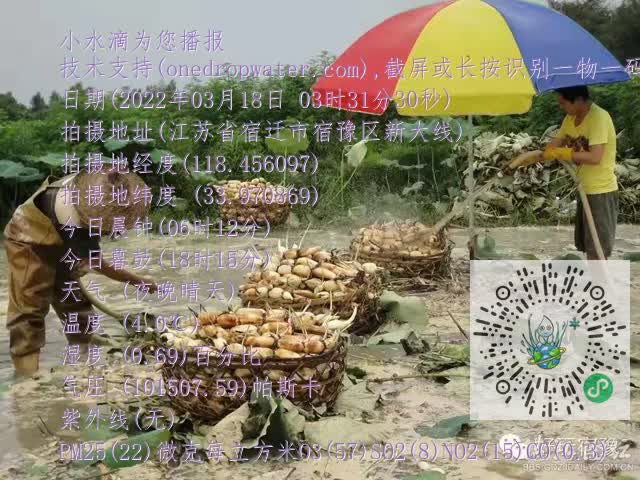 0.mp4