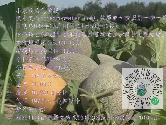 0.mp4