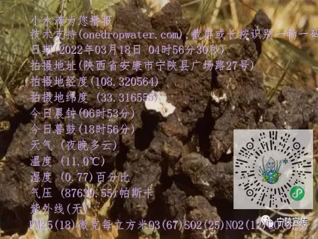 0.mp4