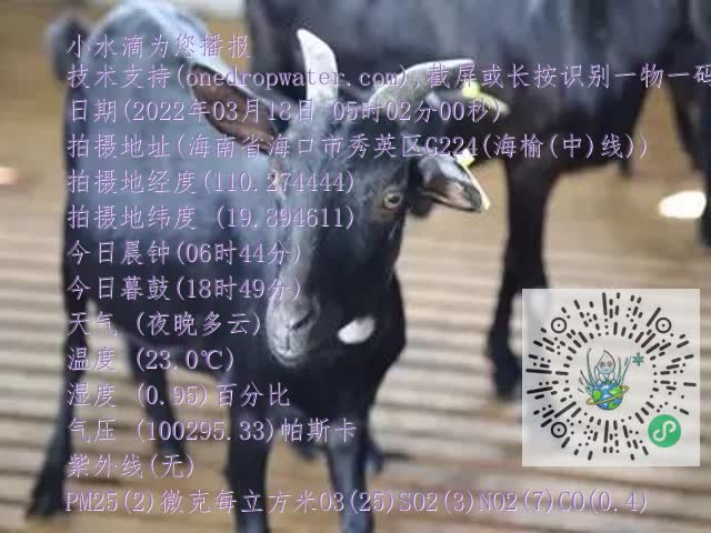 0.mp4