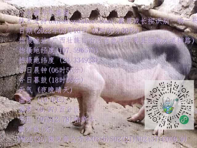 0.mp4