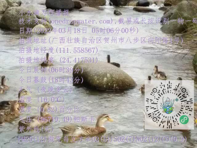 0.mp4