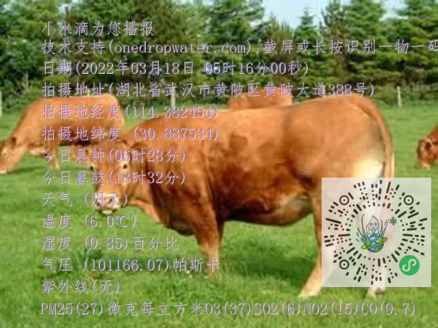 0.mp4