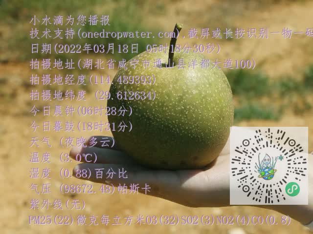 0.mp4