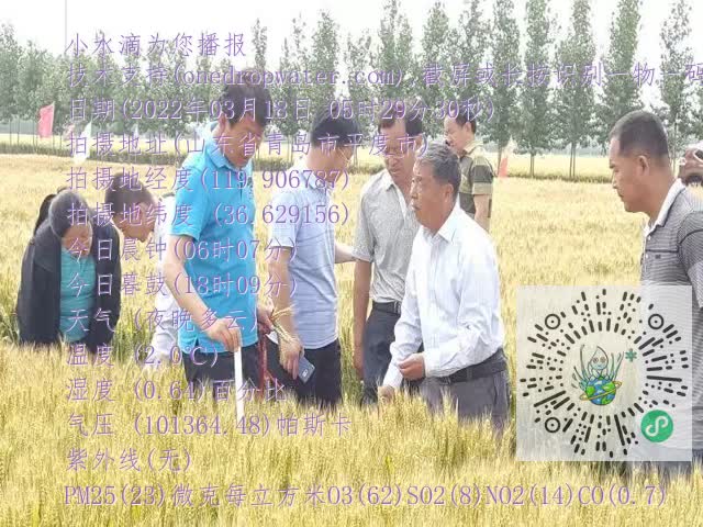 0.mp4