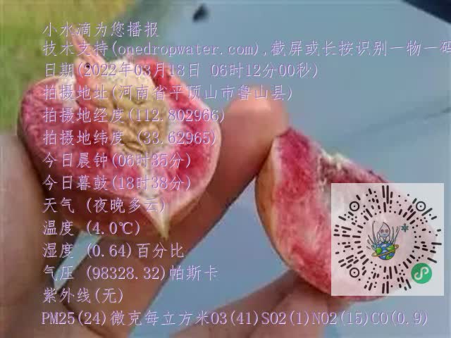 0.mp4