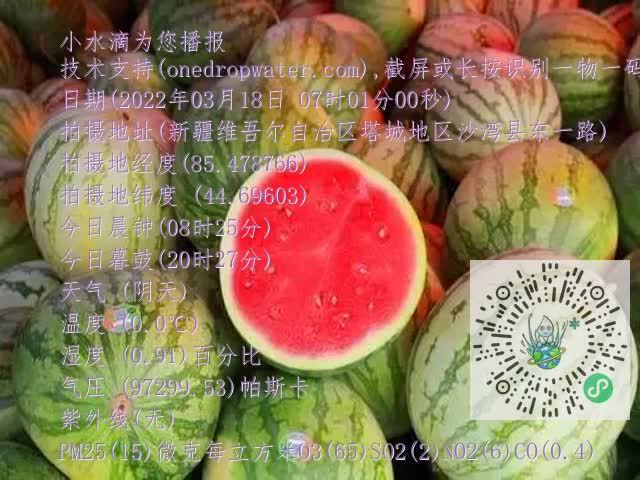 0.mp4
