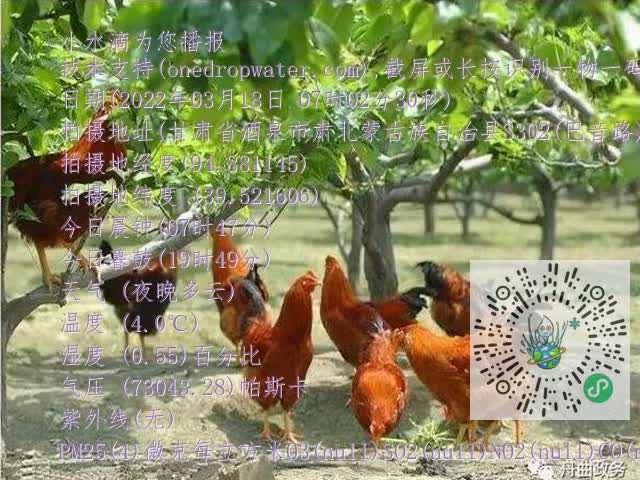 0.mp4