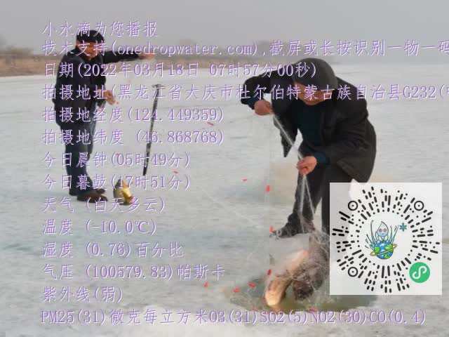 0.mp4