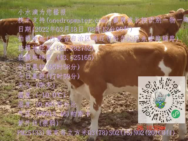 0.mp4