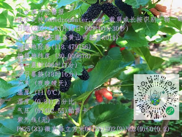 18053b670e2cd33b08f50659850fbd57.mp4