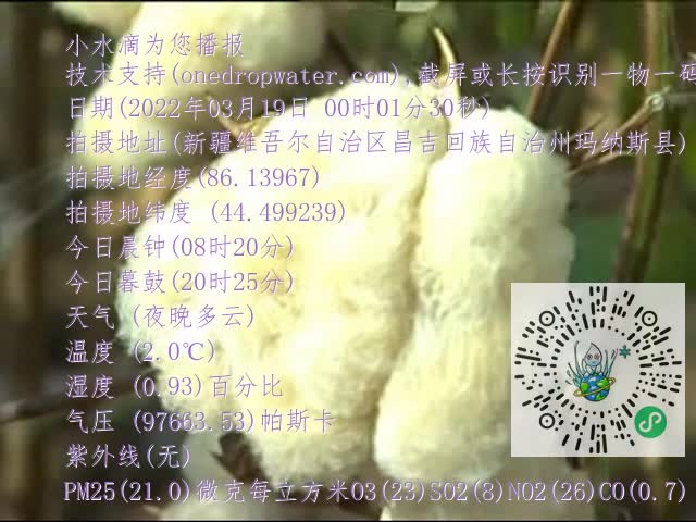 0.mp4
