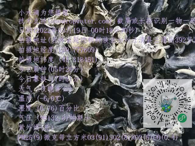 0.mp4
