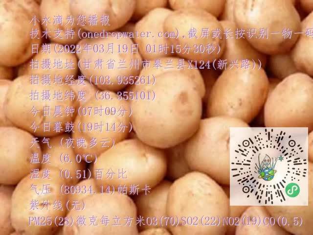 0.mp4