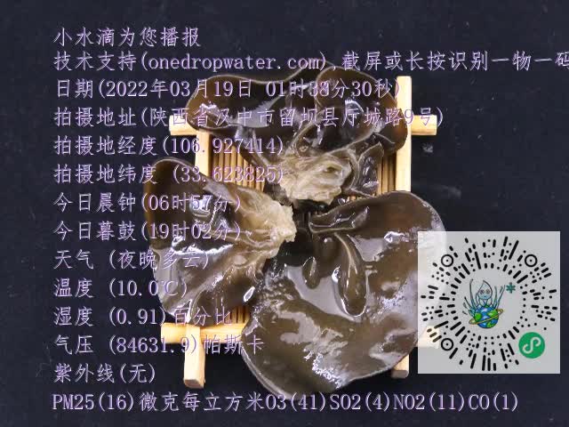 0.mp4