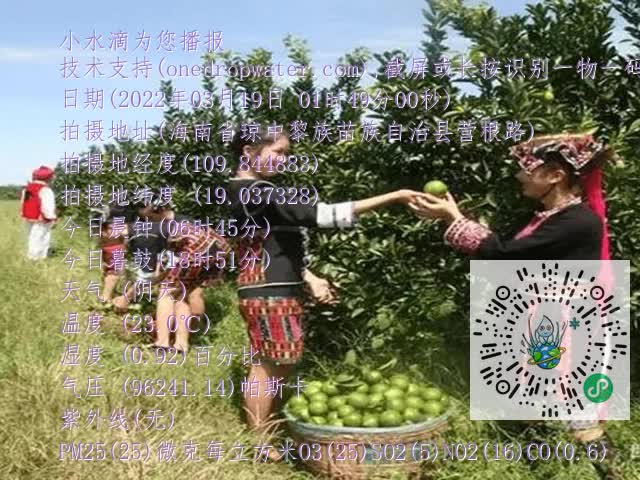 dcd69c1d88adf04ab89721dd53ac73c5.mp4