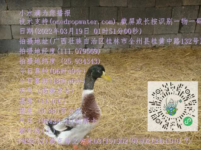 0.mp4