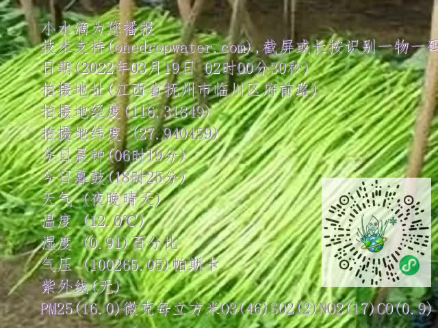 0.mp4