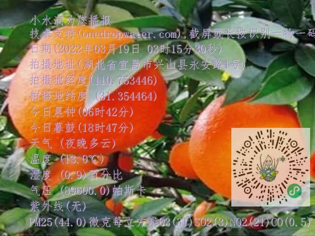be6d6a0cd548b518276e5b2463864dbc.mp4