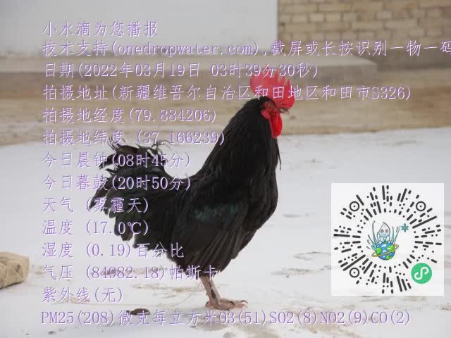 0.mp4